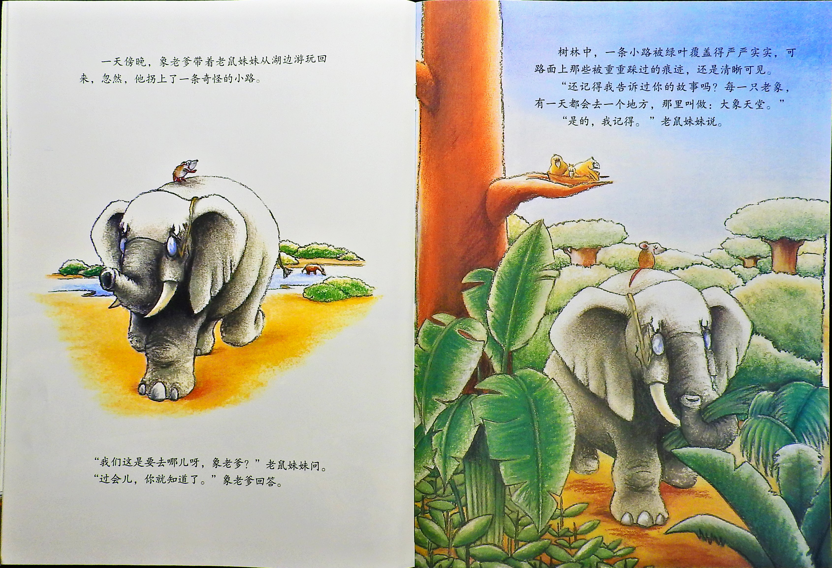 象老爹 (06),绘本,绘本故事,绘本阅读,故事书,童书,图画书,课外阅读